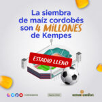 Estadios kempes – amaizados