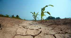La tercera Niña consecutiva complicaría el inicio de la cosecha gruesa