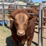 WhatsApp Image 2022-09-15 at 10.38.12