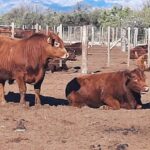 WhatsApp Image 2022-09-15 at 16.28.54 (1)