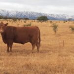 WhatsApp Image 2022-09-15 at 16.28.55 (1)