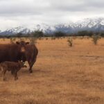 WhatsApp Image 2022-09-15 at 16.28.55