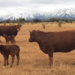 WhatsApp Image 2022-09-15 at 16.28.56 (1)