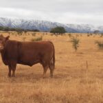 WhatsApp Image 2022-09-15 at 16.28.56