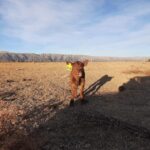 WhatsApp Image 2022-09-15 at 16.28.57 (1)