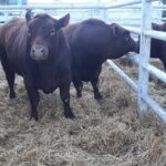 WhatsApp Image 2022-09-15 at 16.28.58 (1)