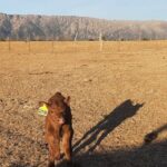 WhatsApp Image 2022-09-15 at 16.28.58