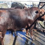 WhatsApp Image 2022-09-15 at 16.28.59