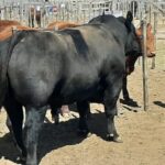 WhatsApp Image 2022-09-25 at 11.06.17