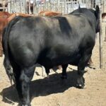 WhatsApp Image 2022-09-25 at 11.06.18