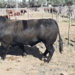 WhatsApp Image 2022-09-25 at 11.06.24