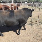 WhatsApp Image 2022-09-25 at 11.06.27