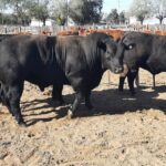 WhatsApp Image 2022-09-25 at 11.06.31