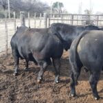 WhatsApp Image 2022-09-25 at 11.06.37