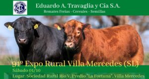 Expo Rural Río Quinto: Travaglia rematará 60 toros y 40 vaquillonas preñadas