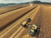 Campaña agrícola 2022-2023: la jornada de actualización técnica del INTA San Luis tendrá nueve disertantes