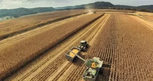 Campaña agrícola 2022-2023: la jornada de actualización técnica del INTA San Luis tendrá nueve disertantes