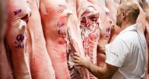 Cae el consumo: La carne porcina aumentó un 54% en lo que va del año y pierde terreno frente a la de vaca