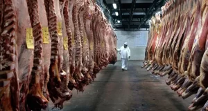 Carne: las exportaciones crecieron 11% por la fuerte demanda de China