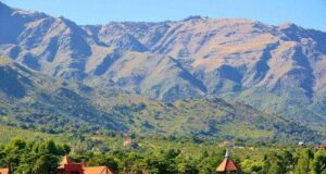 Dictarán un taller sobre Geometrías del Monte Nativo de la Villa de Merlo