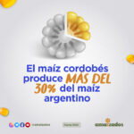 prod maiz cordobes – amaizados