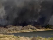 Embestida del campo contra la ley de humedales que tratará el Congreso