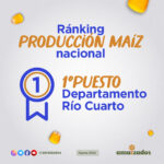 ranking prod maiz – amaizados