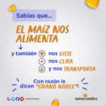 sabias que – amaiszados
