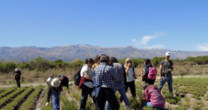 Estudiantes y docentes de la FTU visitaron establecimiento referente nacional en aromáticas y condimenticias