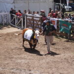 DSC06674