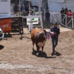 DSC06676