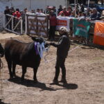 DSC06681