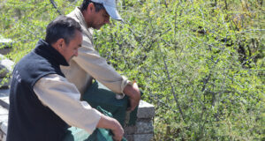 San Luis: el cielo de La Florida recibió siete aves rescatadas del tráfico ilegal