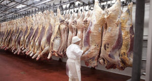 Sectores de la cadena de ganados y carnes pidieron al Gobierno que suspenda el fin de la media res