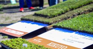 Por primera vez llega a Mendoza el encuentro profesional de césped con los líderes del sector