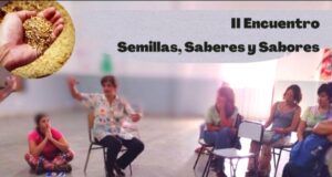 Villa de Merlo: llega el segundo Encuentro de semillas, saberes y sabores