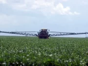 El INTA avala el uso de fitosanitarios en la producción agrícola y recomienda mejorar el marco regulatorio