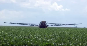 El INTA avala el uso de fitosanitarios en la producción agrícola y recomienda mejorar el marco regulatorio