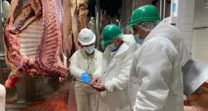 Paro de frigoríficos: desde el martes no distribuirán carne en reclamo a una medida del Gobierno