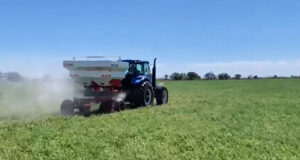 San Luis: continúan los ensayos de alfalfa para generar información y brindarla a productores