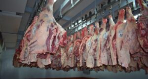 Ley de troceo de carne: advierten que la medida no se podrá implementar por falta de obras