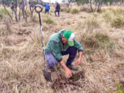 Productores de la Cuenca del Morro se suman al Plan Forestal “Más árboles, más vida”