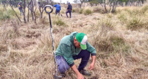 Productores de la Cuenca del Morro se suman al Plan Forestal “Más árboles, más vida”