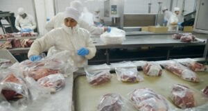 La producción de carne vacuna es la segunda más importante de los últimos cinco años