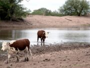 Pronunciamiento de las seis rurales de San Luis con reclamos al gobierno