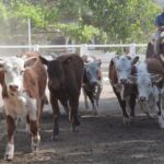 WhatsApp Image 2022-11-03 at 16.23.31