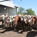 WhatsApp Image 2022-11-03 at 16.23.39 (2)