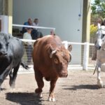 WhatsApp Image 2022-11-03 at 16.23.52