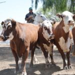 WhatsApp Image 2022-11-03 at 16.23.53 (1)