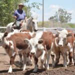 WhatsApp Image 2022-11-17 at 19.33.09 (1)